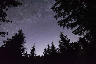 activite Night hike & introduction to astronomy