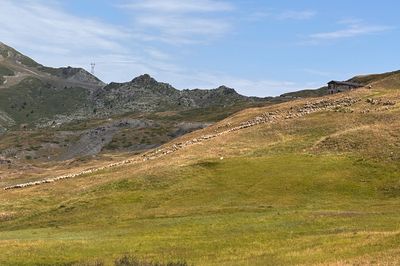 activite From high-altitude pastures to summer hamlets