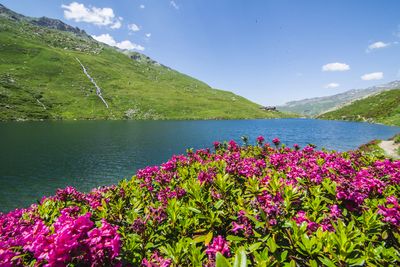 activite Le Lac du Lou